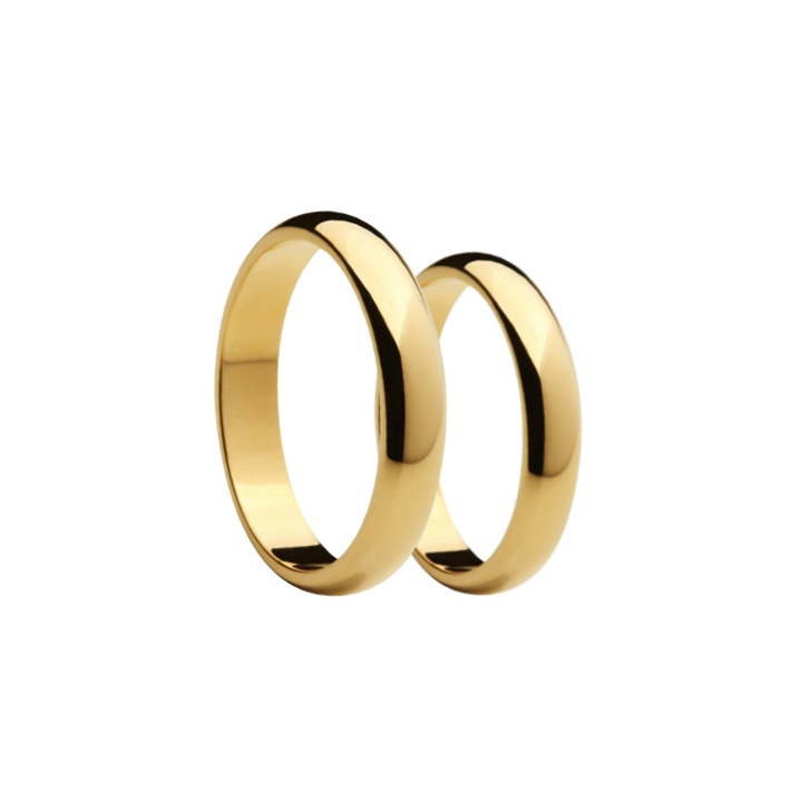 4 – 1013 – 9,8g